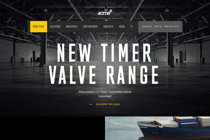 Acme World website preview